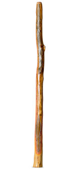 Heartland Didgeridoo (HD464)